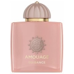 Amouage Odyssey Guidance 100ml Eau De Parfum