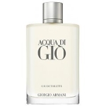 Giorgio Armani Acqua Di Gio 100ml Eau De Toilette