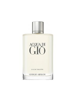 Giorgio Armani Acqua Di Gio 100ml Eau De Toilette